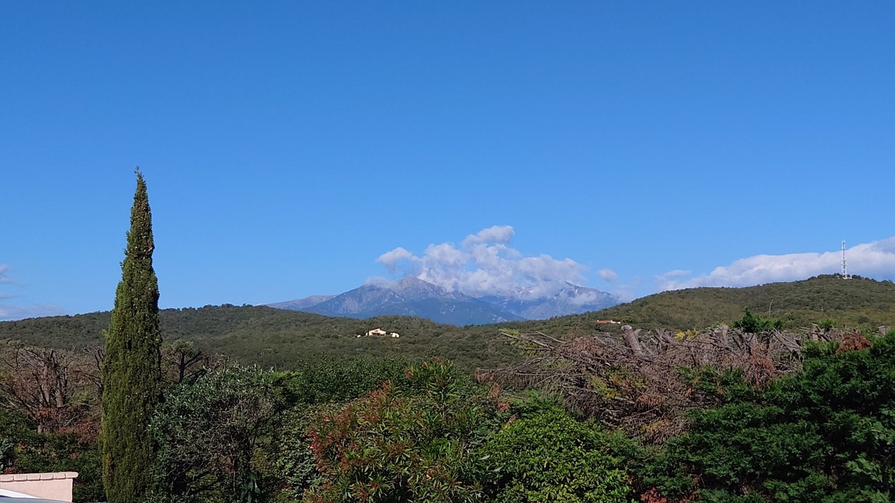 Photo of Others in Llauro