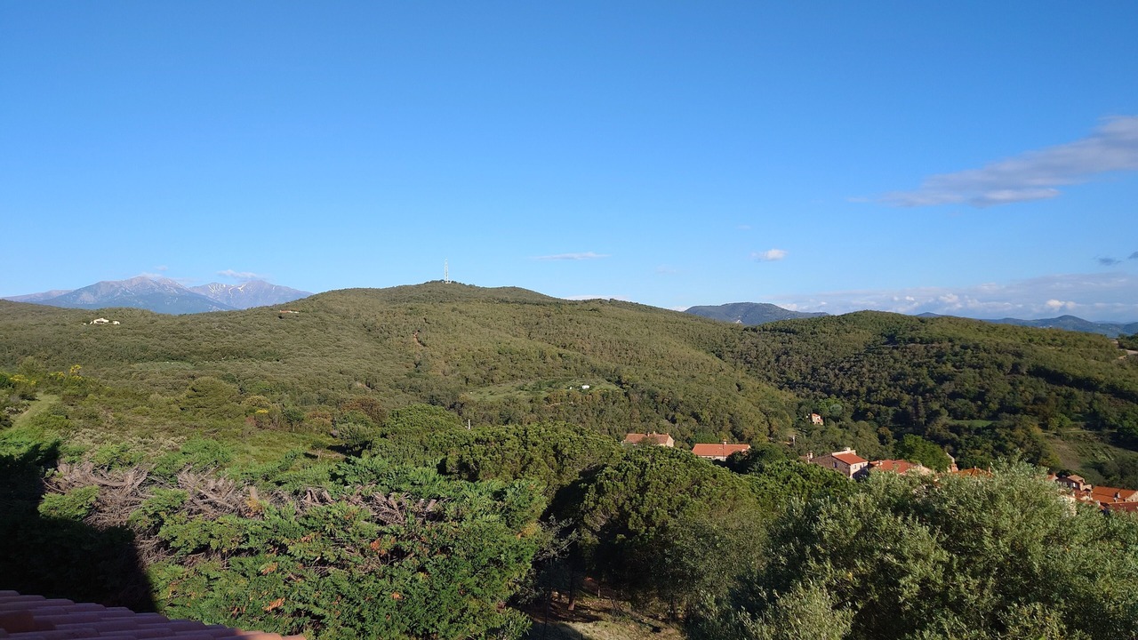 Photo of Others in Llauro