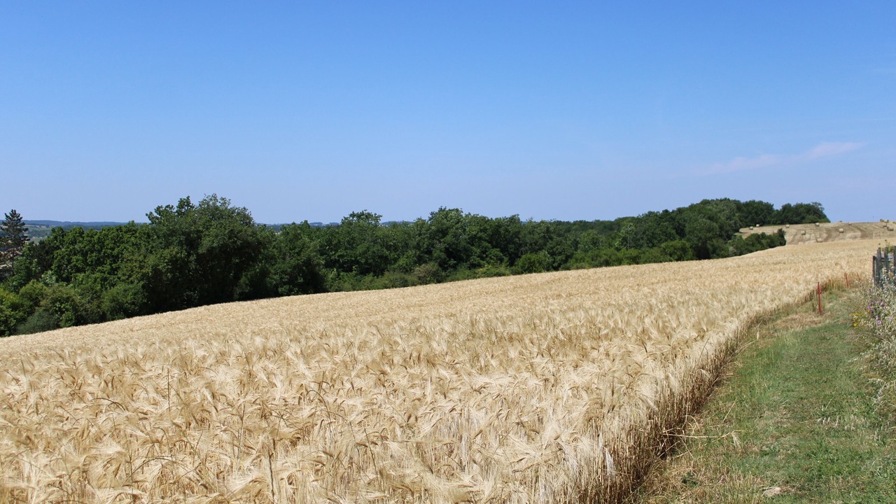 Photo of Outdoor in Lectoure