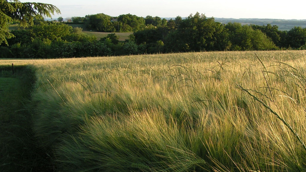 Photo of Outdoor in Lectoure