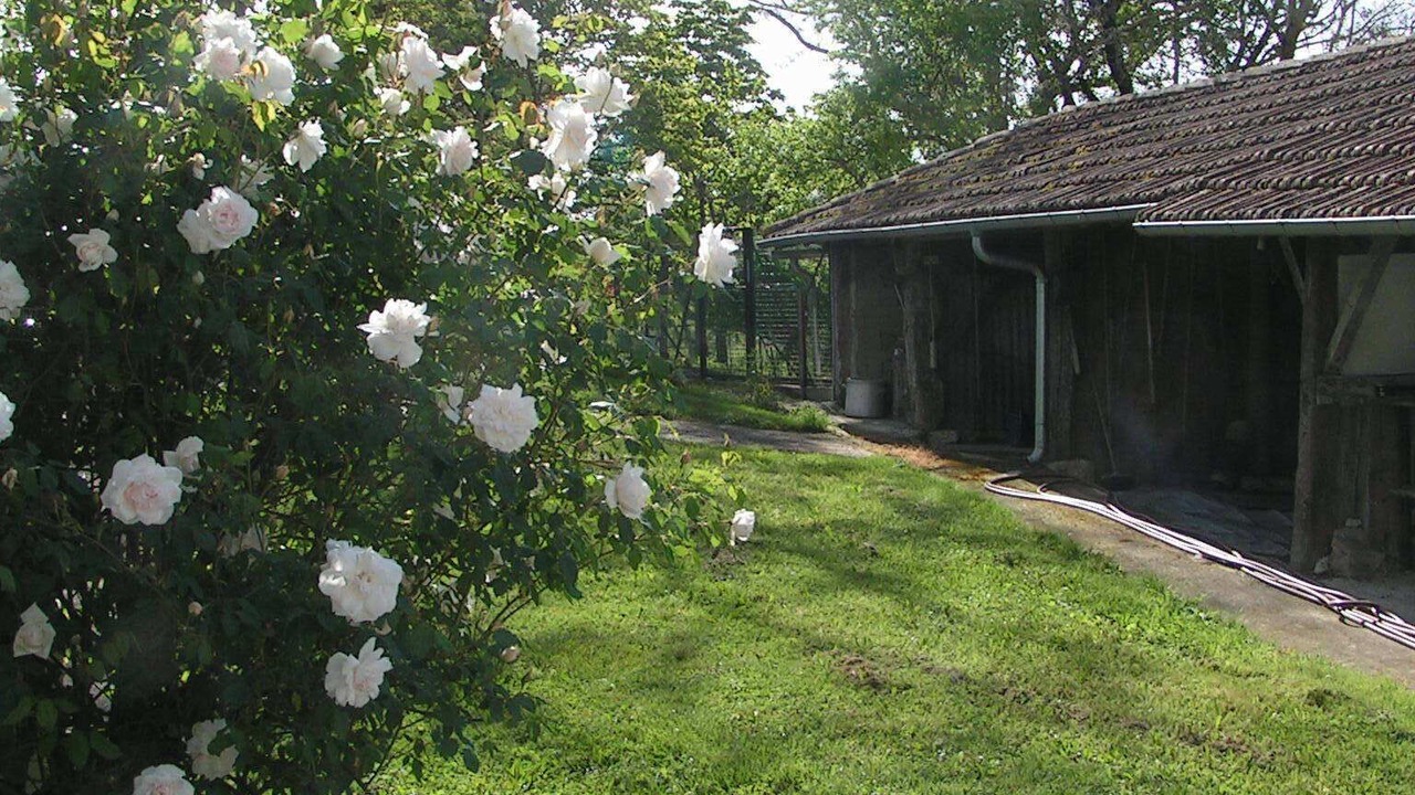 Photo of Outdoor in Lectoure