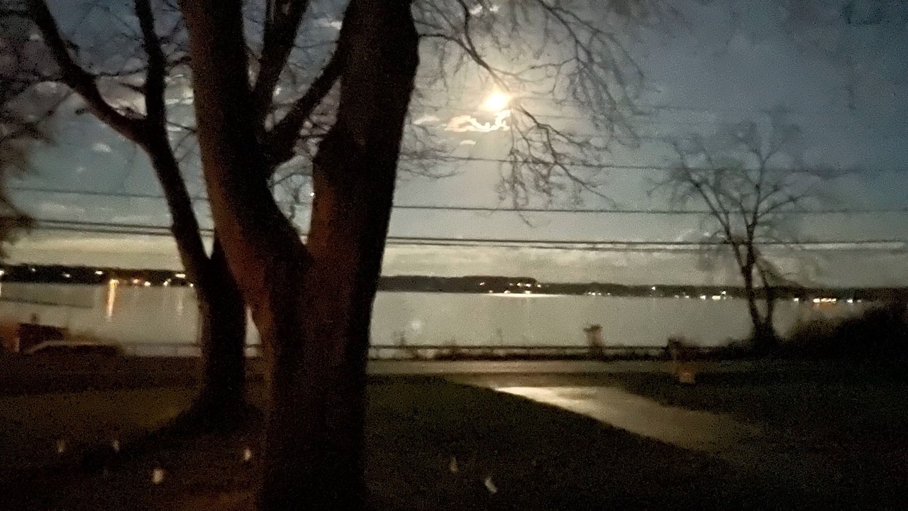Photo of Outdoor in Auburn
