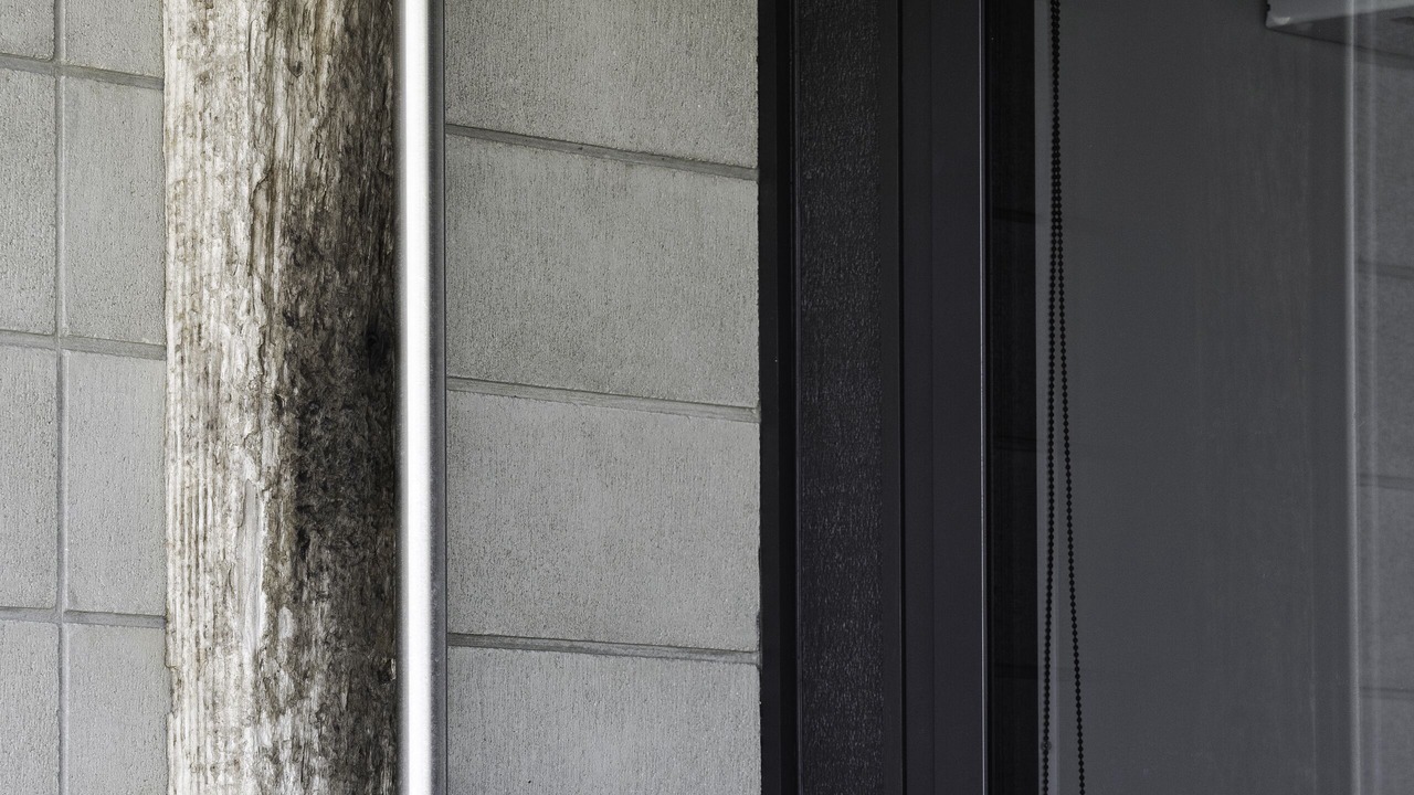 Photo of Outdoor in Pukehina