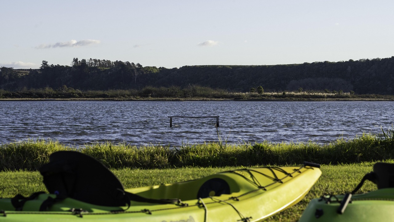 Photo of Others in Pukehina