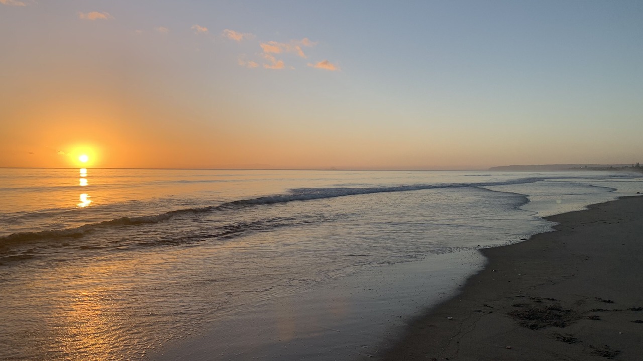 Photo of Others in Pukehina