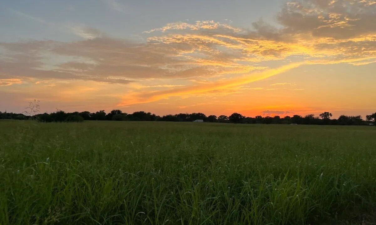 Photo of Outdoor in Waco
