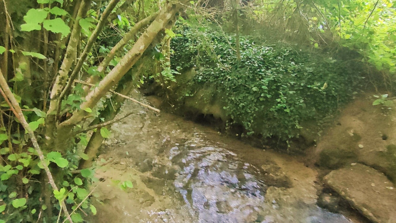 Photo of Outdoor in Bouges-le-Chateau