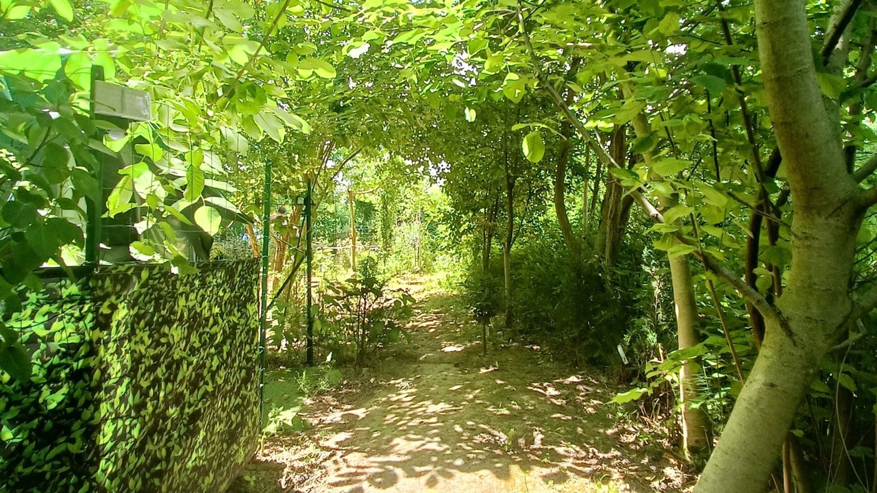 Photo of Outdoor in Bouges-le-Chateau