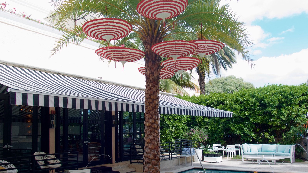 Photo of Outdoor in Flamingo/Lummus