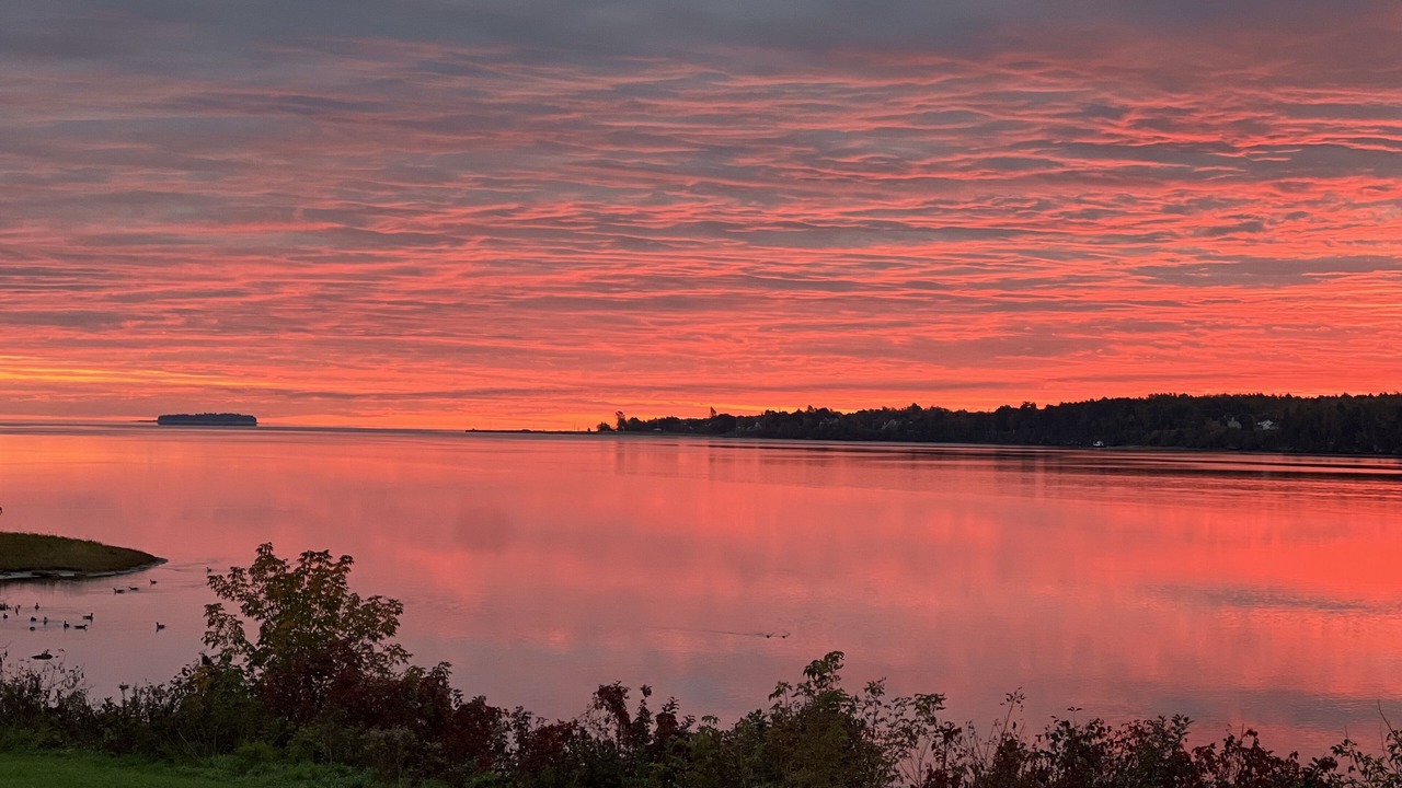 Photo of Others in Miramichi