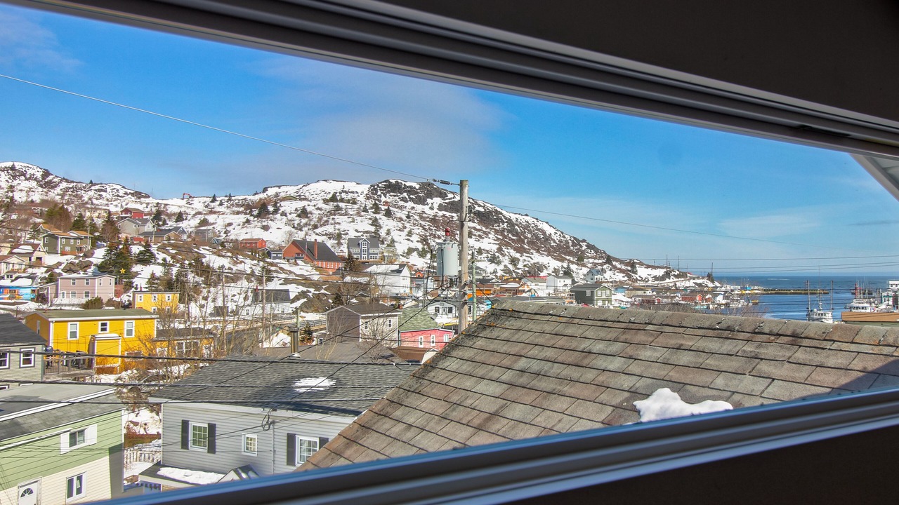 Photo of Others in Petty Harbour