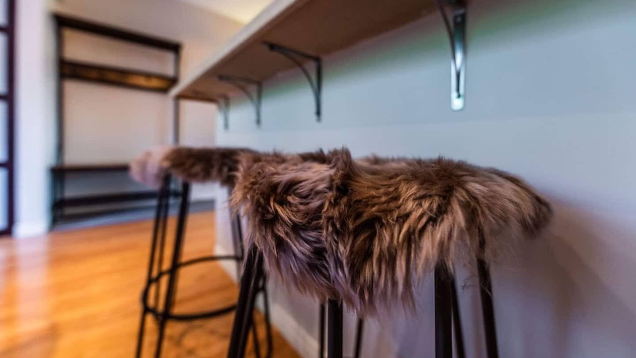 Photo of Others in Downtown St. John's