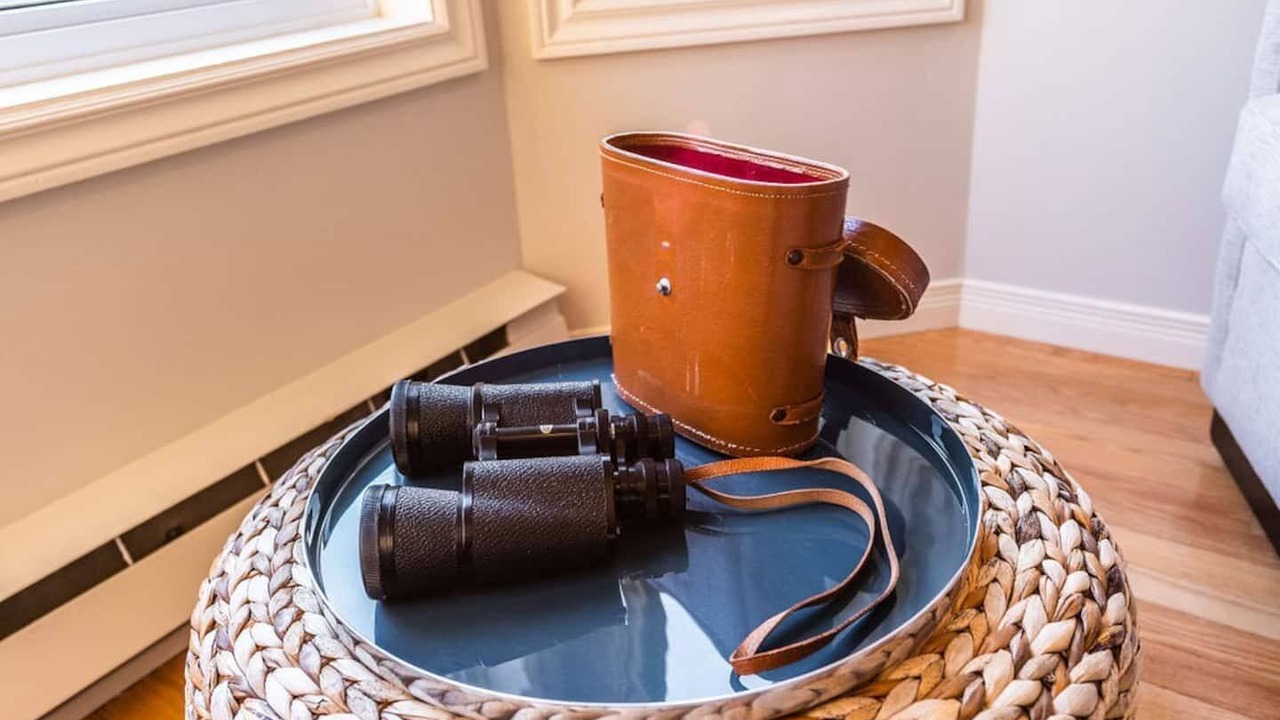 Photo of Others in Downtown St. John's