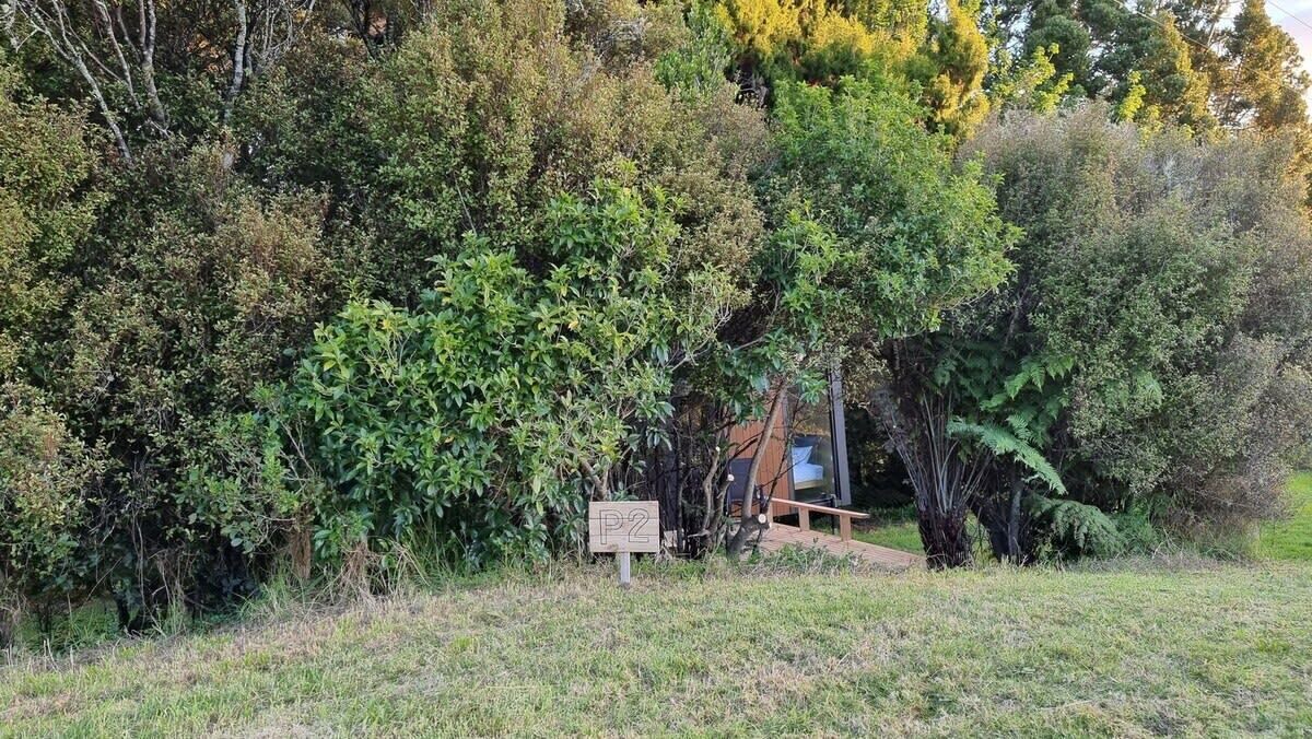 Photo of Outdoor in Waitoki