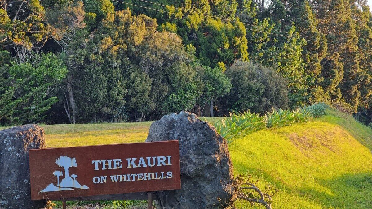 Photo of Outdoor in Waitoki