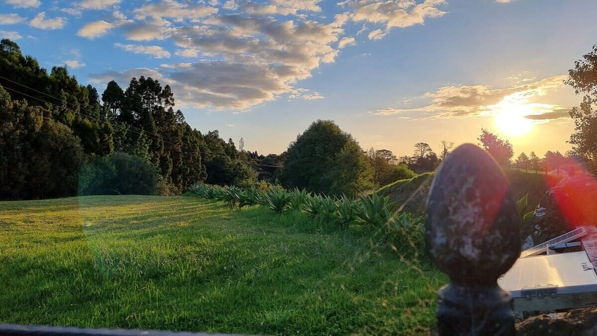 Photo of Outdoor in Waitoki
