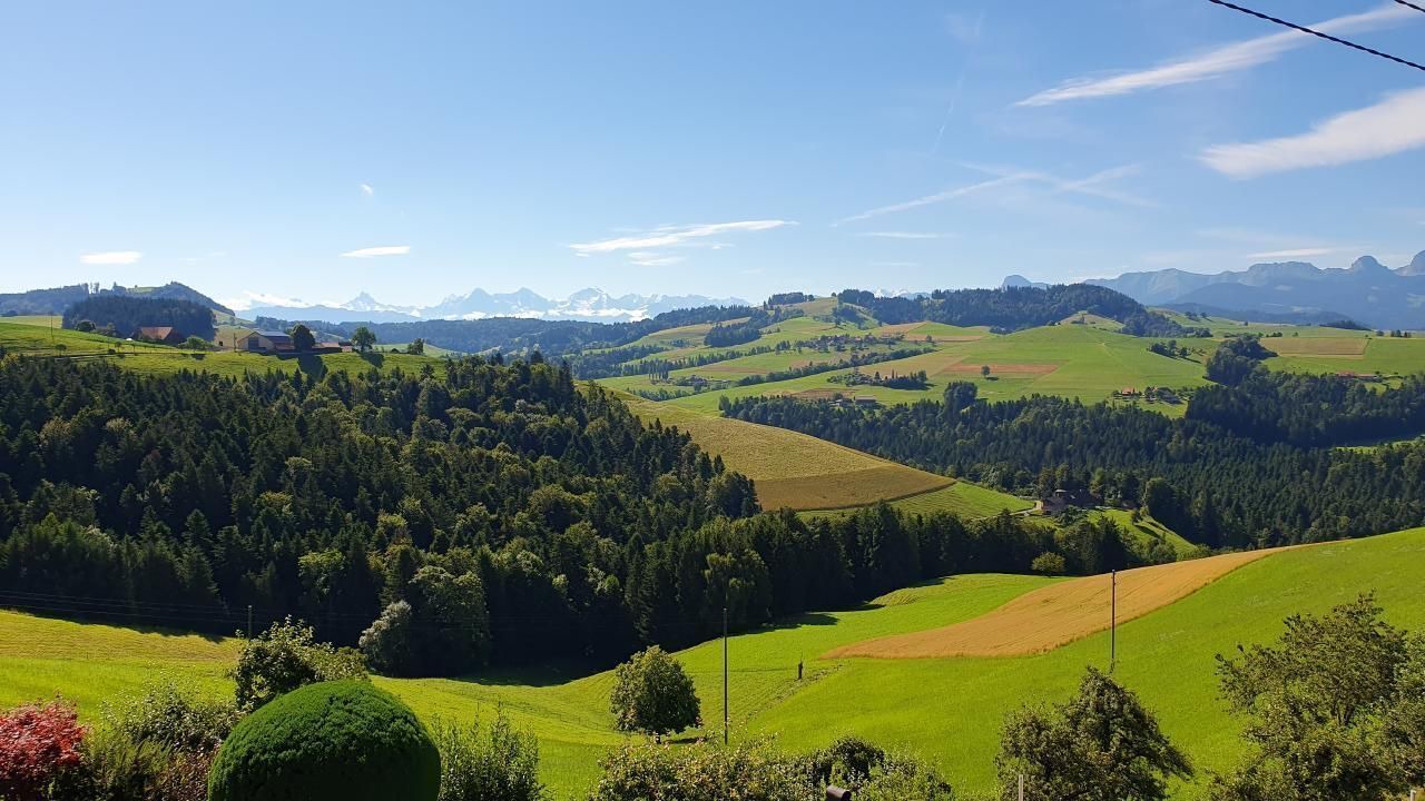 Photo of Others in Oberbalm