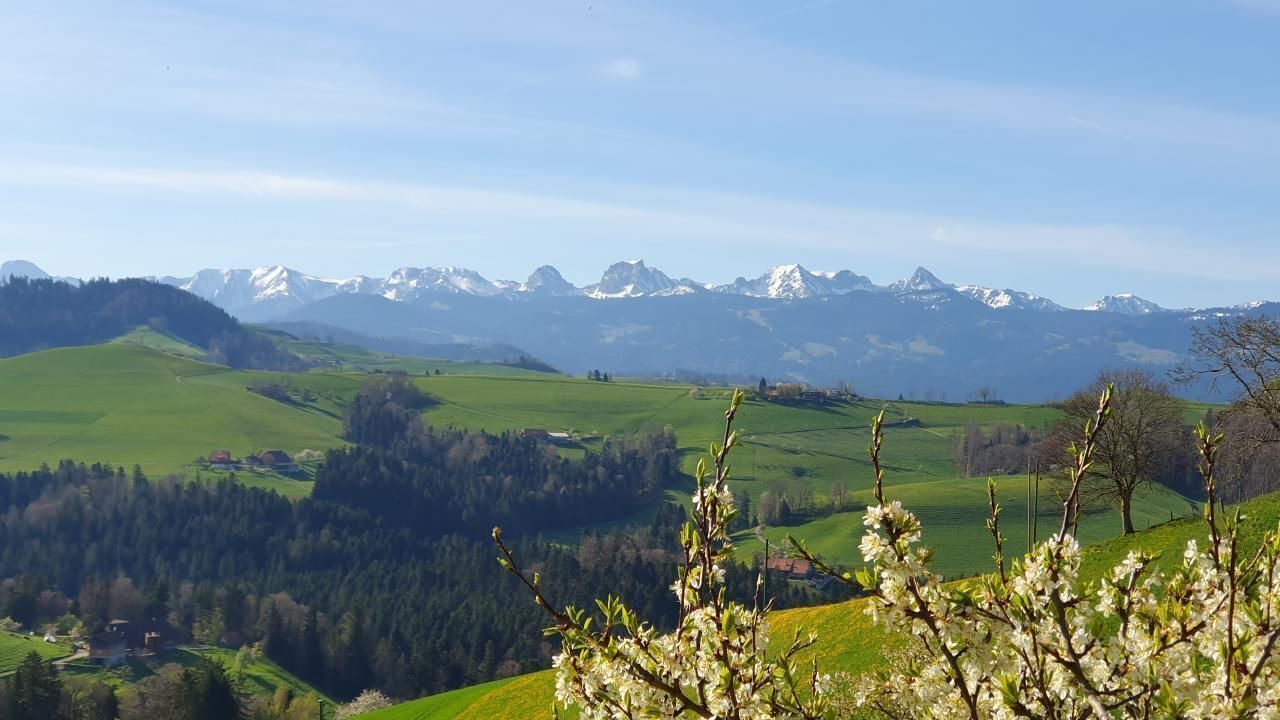 Photo of Others in Oberbalm