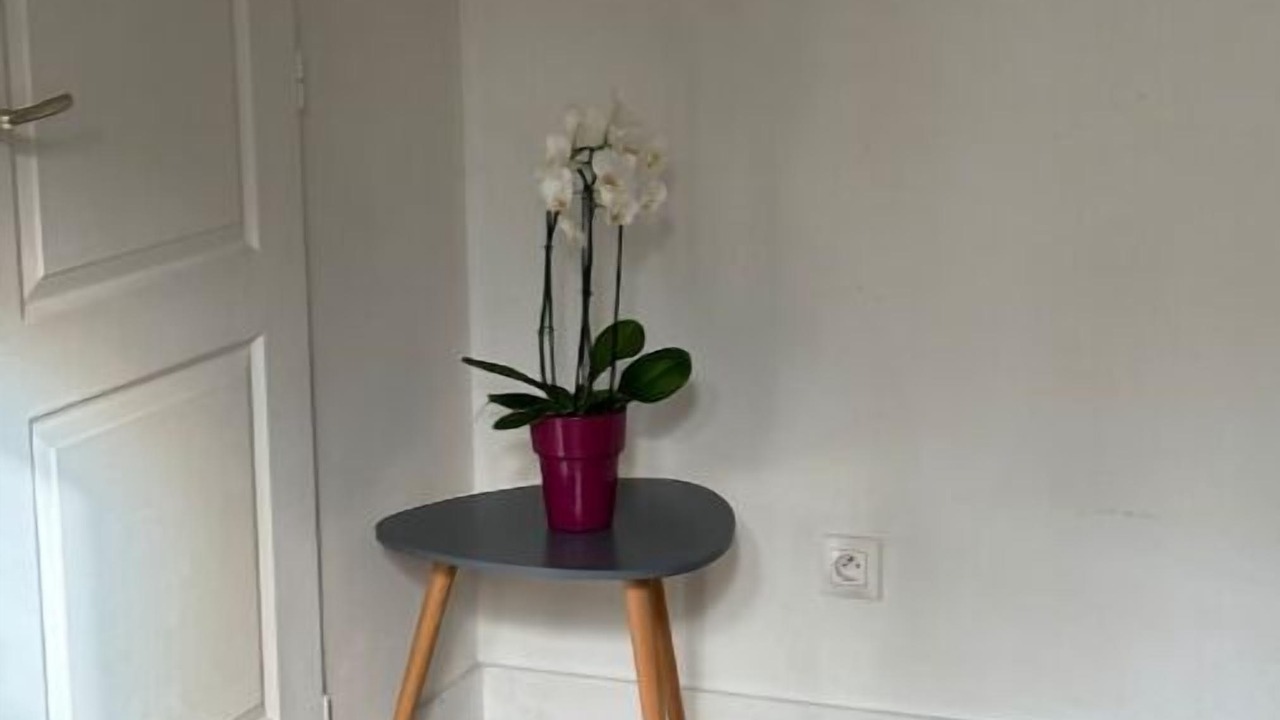 Photo of Others in Nevers