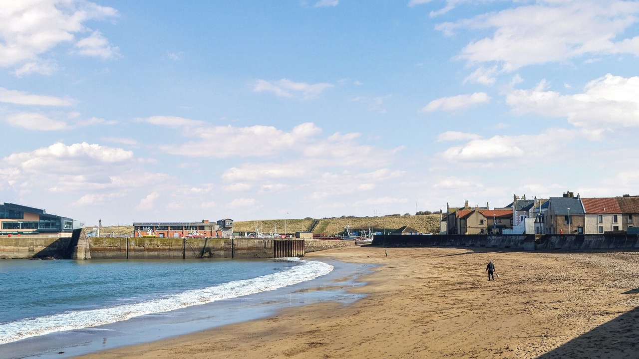 Photo of Others in Eyemouth