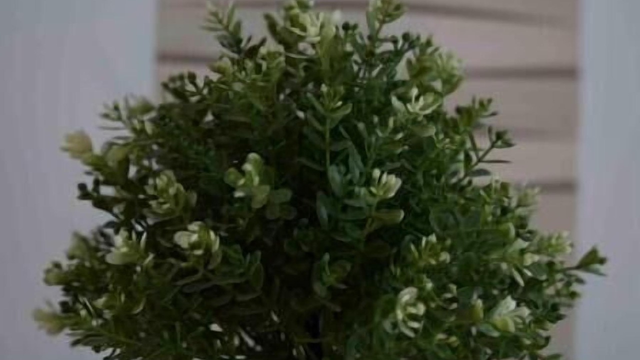 Photo of Others in Issenheim