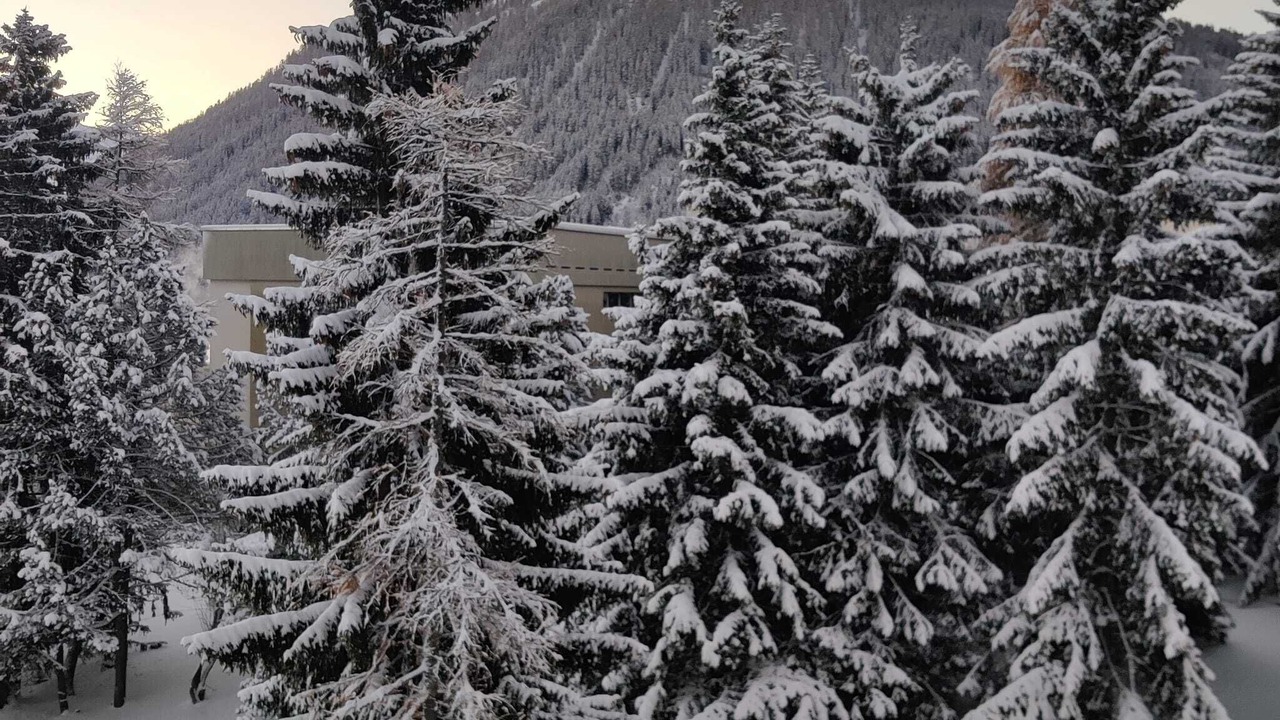 Photo of Others in Meierhof