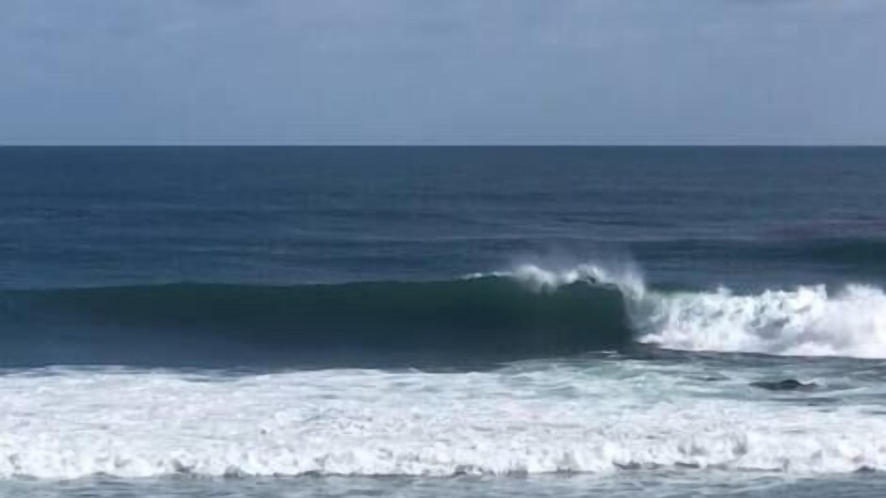 Photo of Others in Rosarito