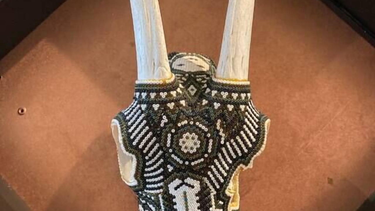 Photo of Others in Rosarito