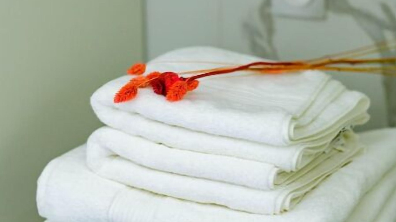 Photo of Others in Pantin