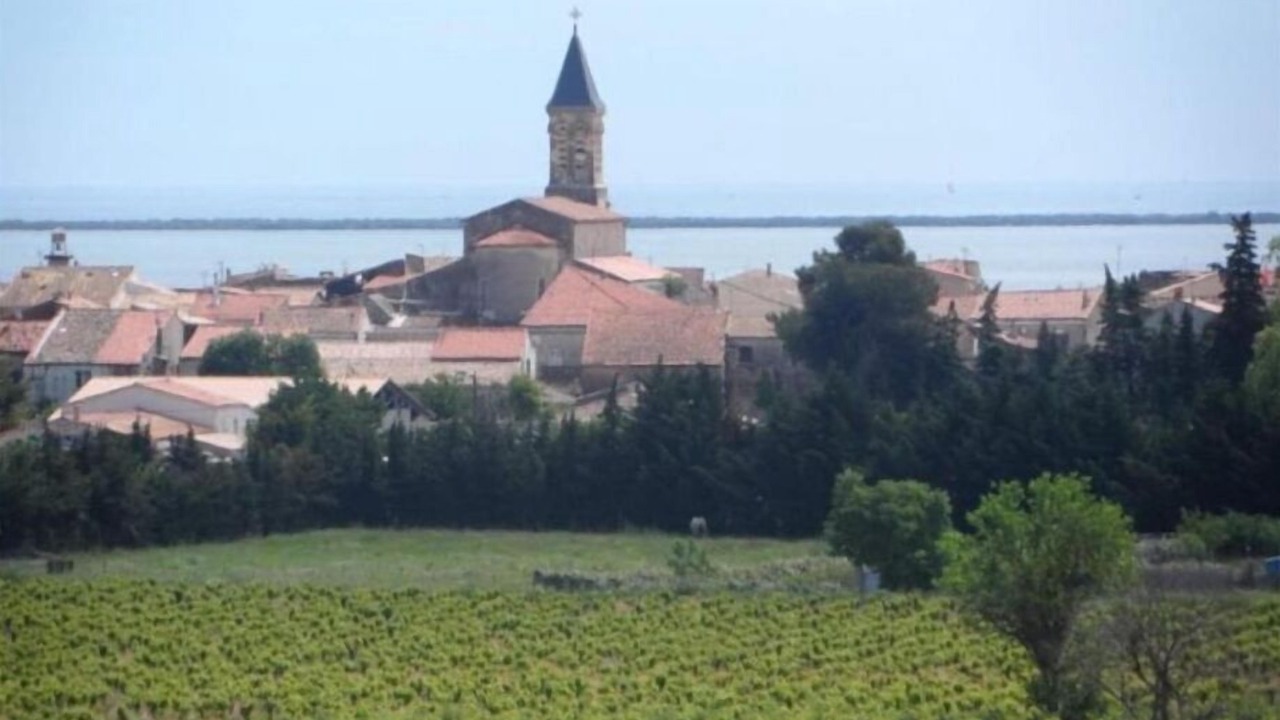 Photo of Others in Mireval