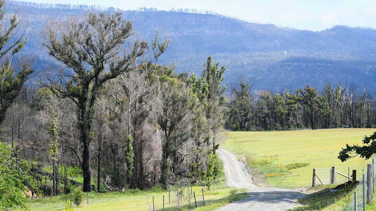 Photo of Others in Kangaroo Valley