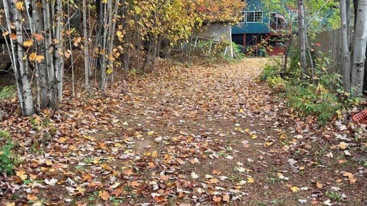 Photo of Others in Tupper Lake