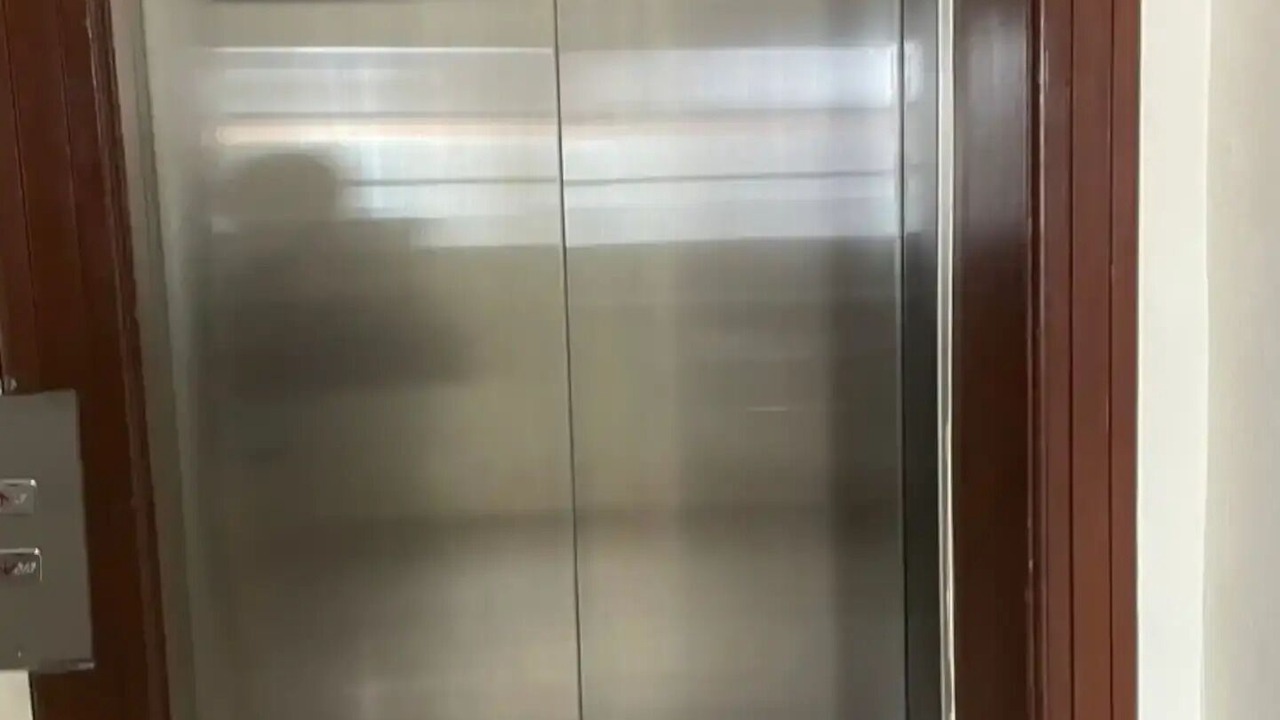 Photo of Others in Mirador Sur