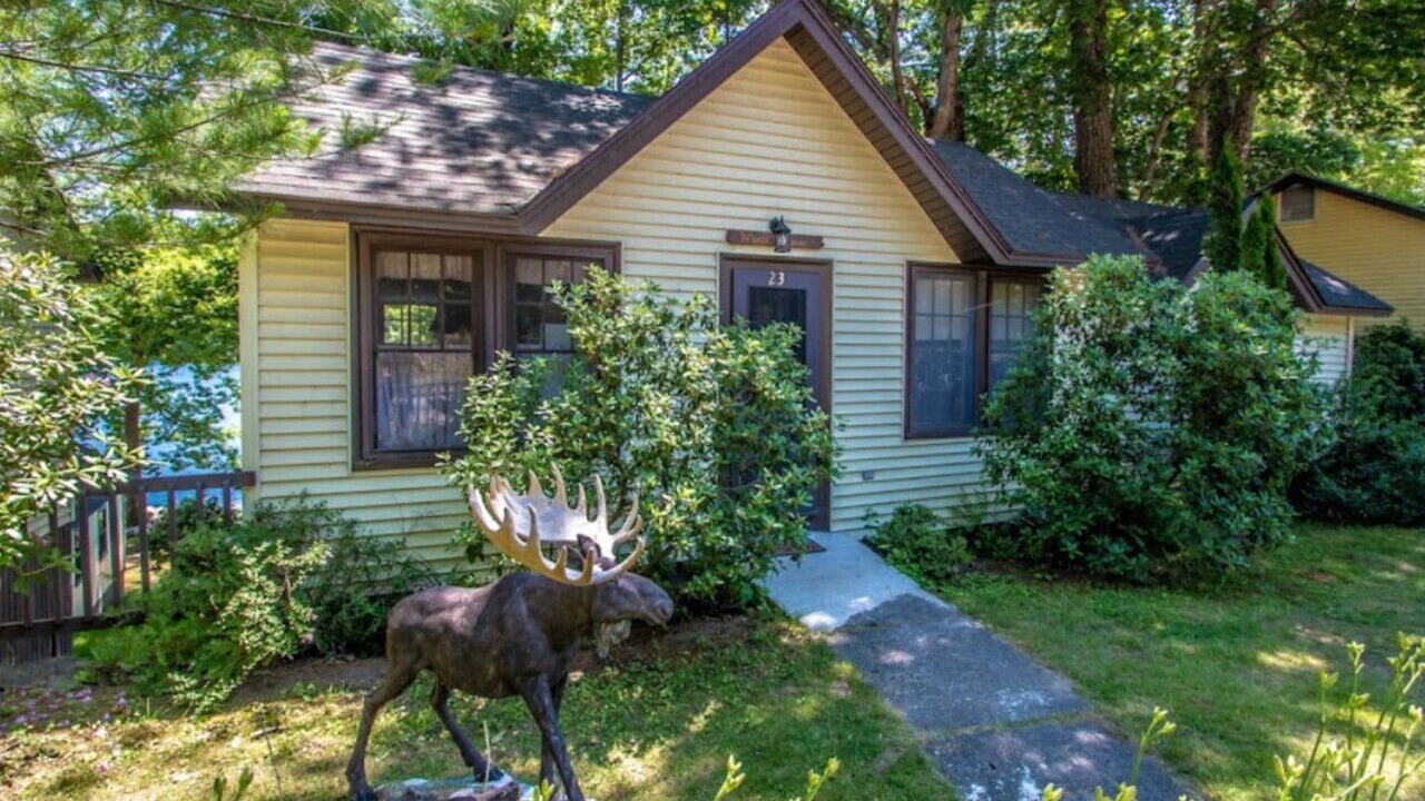 Photo of Others in Holderness