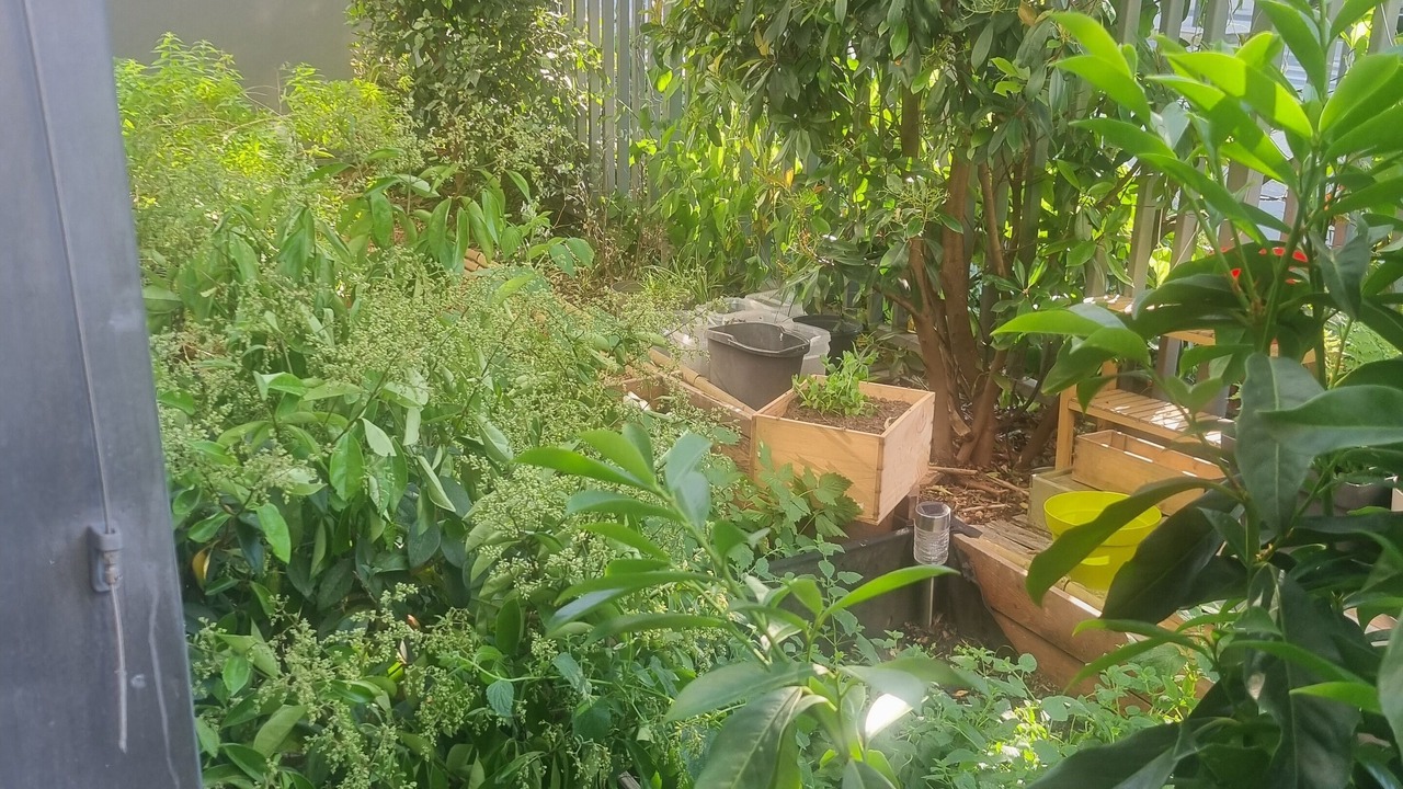 Photo of Outdoor in Issy-les-Moulineaux