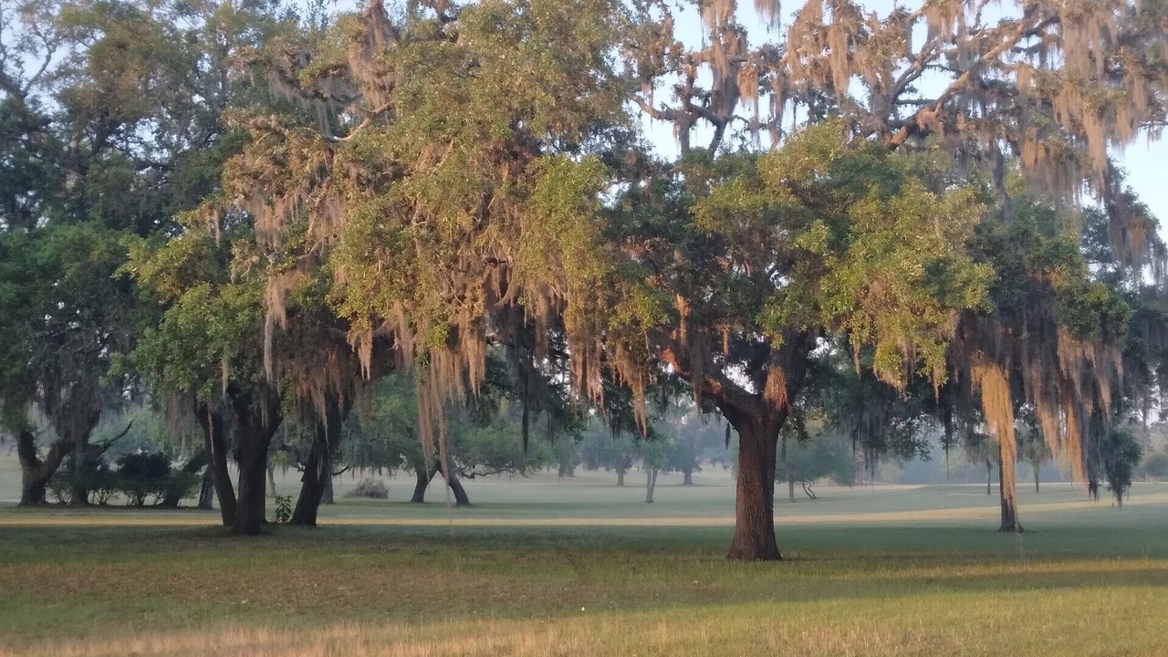 Photo of Others in Dunnellon