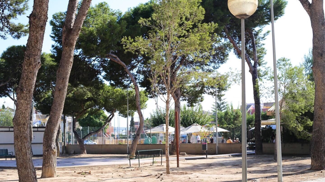 Photo of Others in Roda
