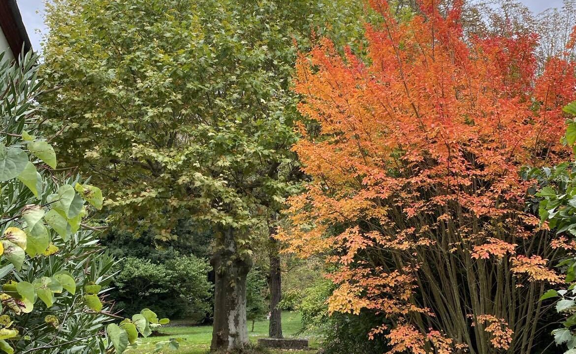 Photo of Outdoor in Saint-Michel-de-Lanes