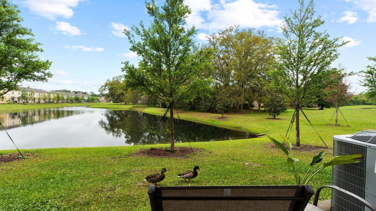 Photo of Outdoor in Baymeadows