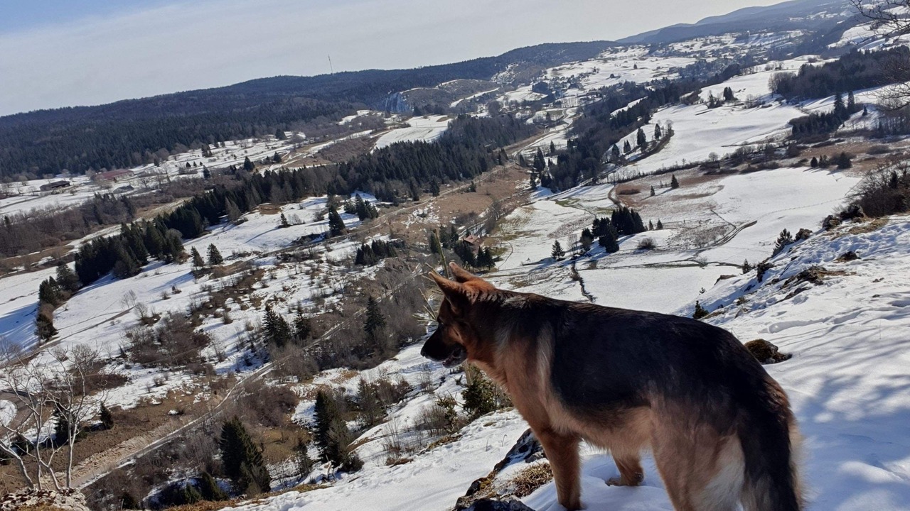 Photo of Others in Foncine-le-Bas