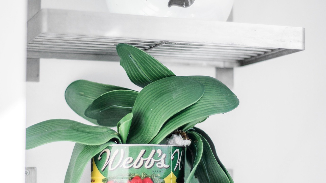 Photo of Others in Kemptown