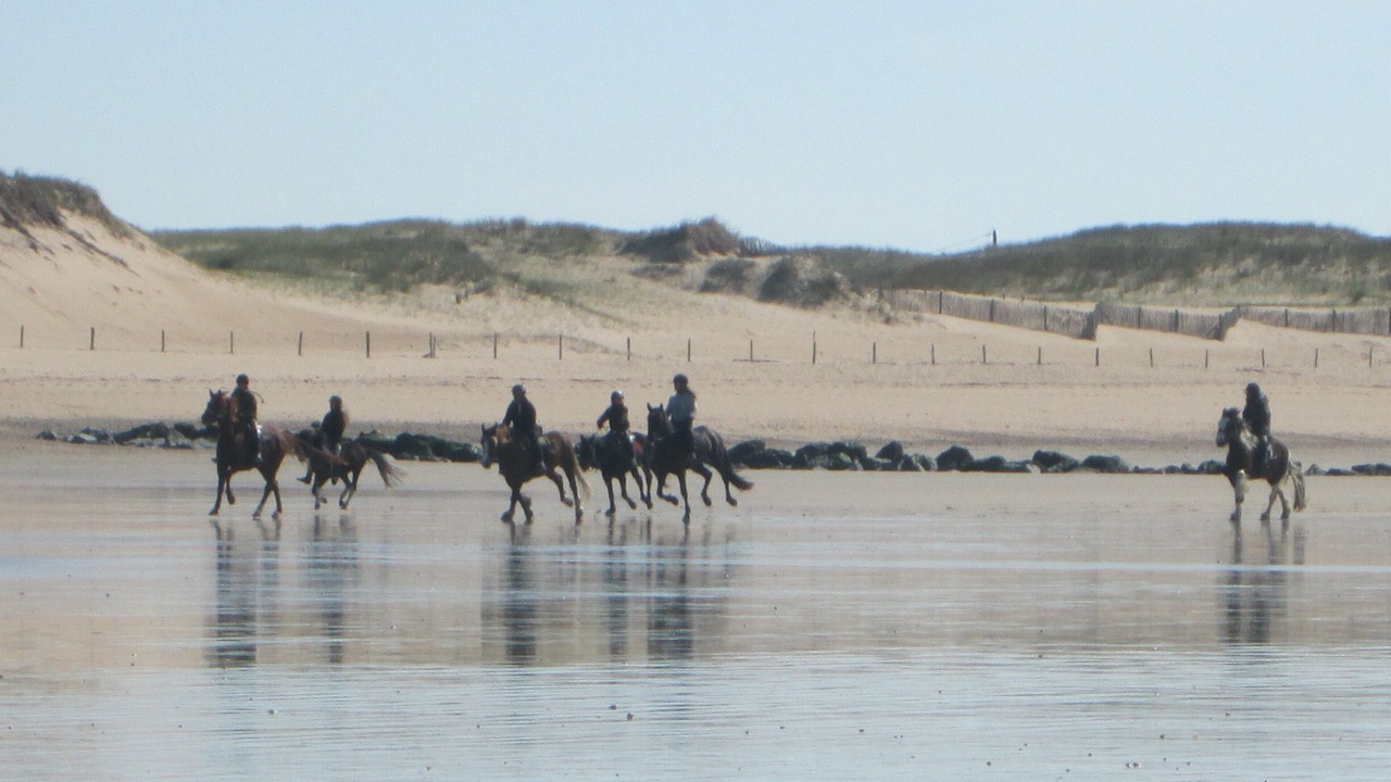 Photo of Others in Folligny