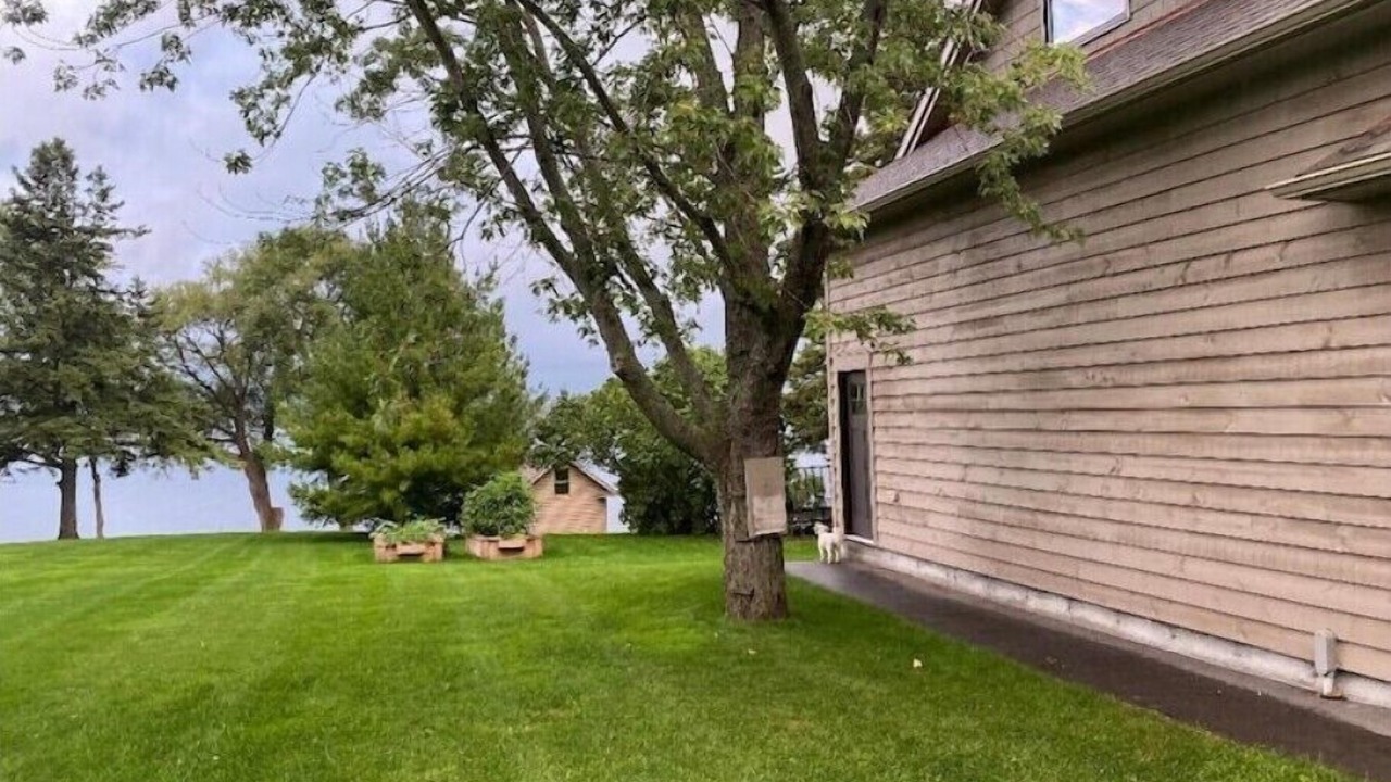Photo of Outdoor in Belleville