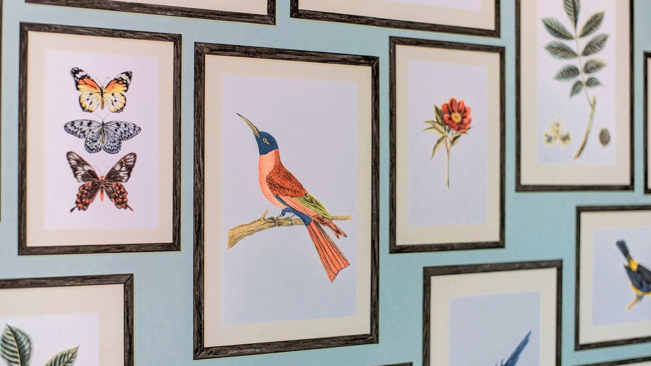 Photo of Others in Cleveland