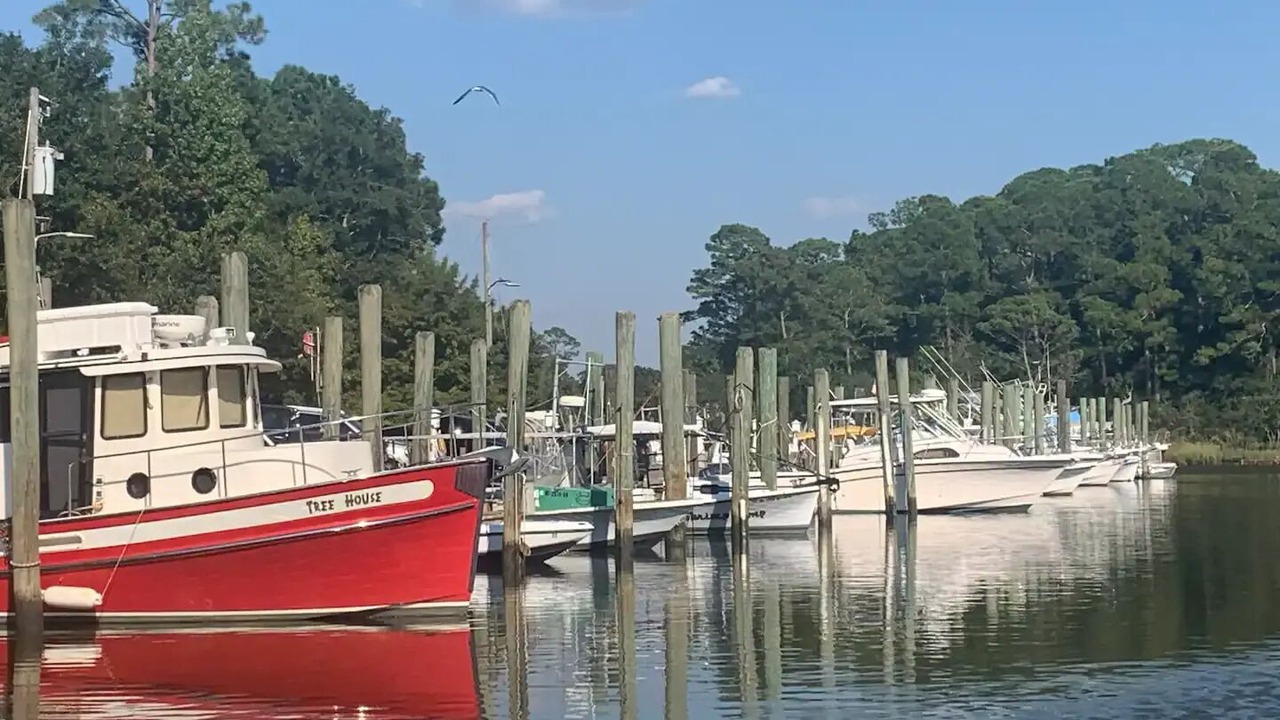 Photo of Others in Ocean Springs