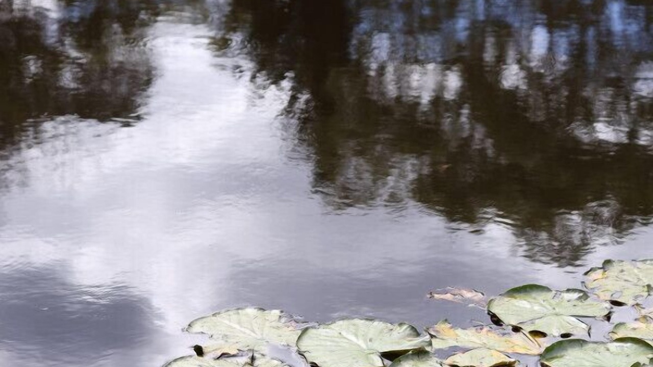 Photo of Others in Badger Creek