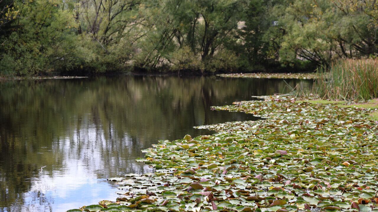 Photo of Others in Badger Creek