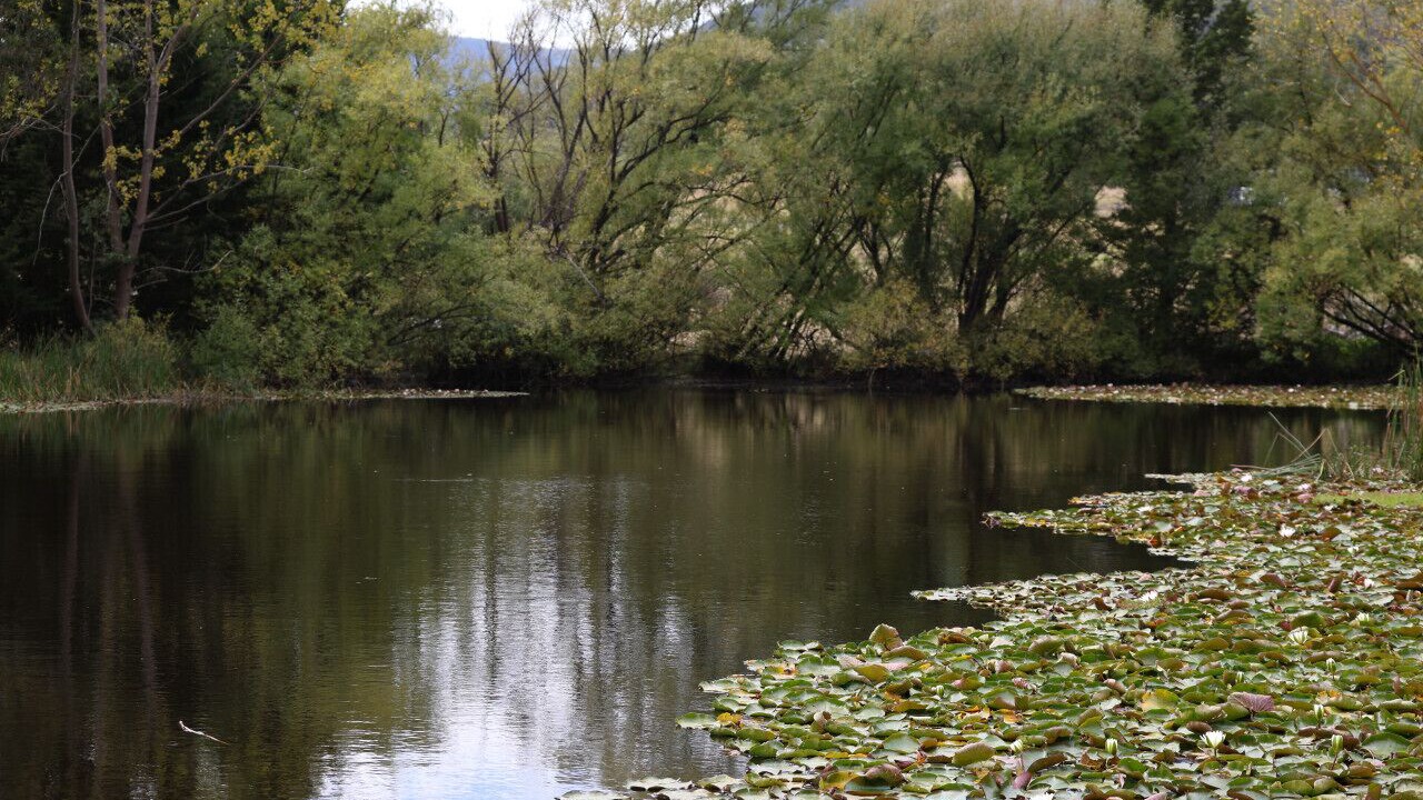 Photo of Others in Badger Creek
