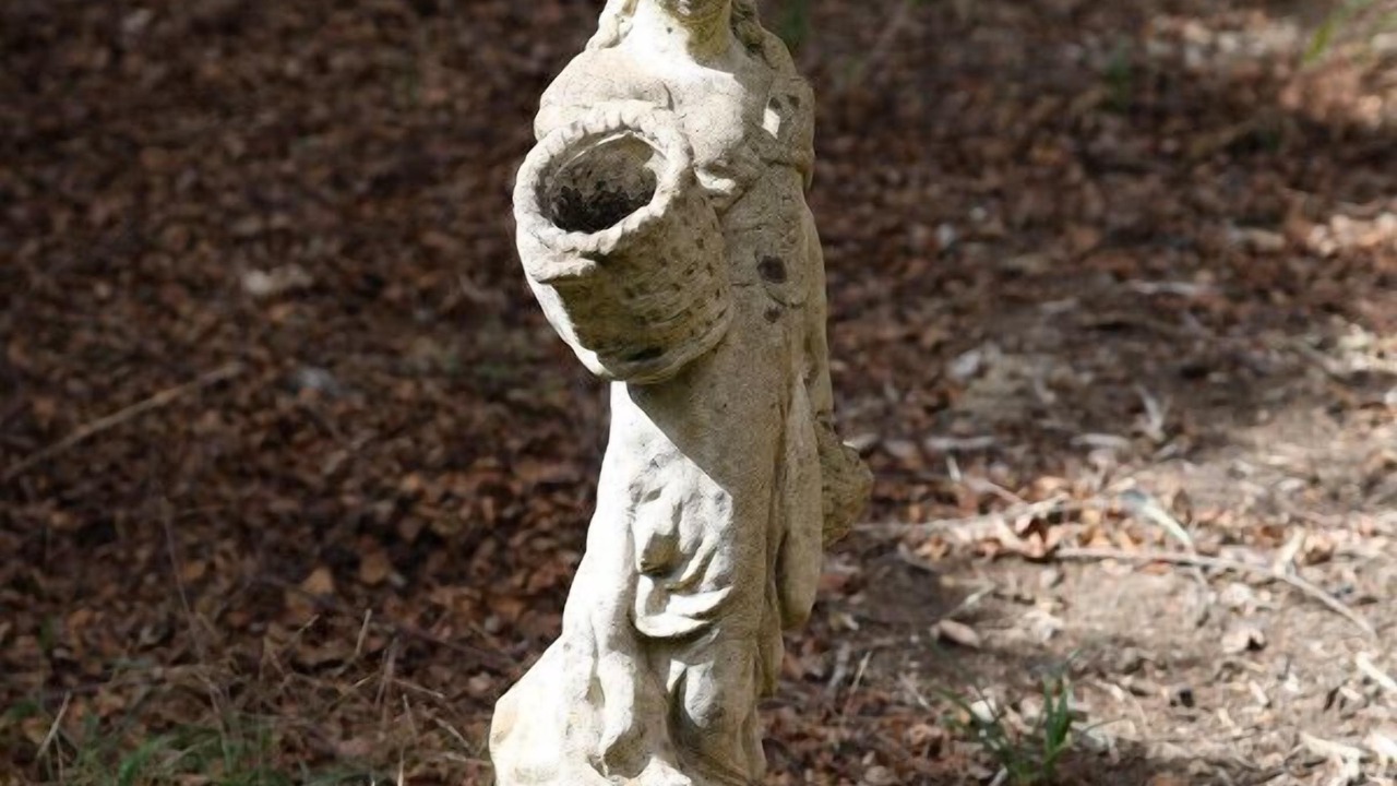 Photo of Outdoor in Badger Creek