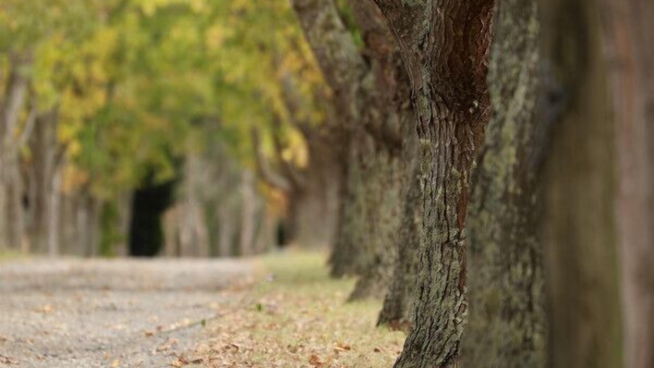 Photo of Others in Badger Creek
